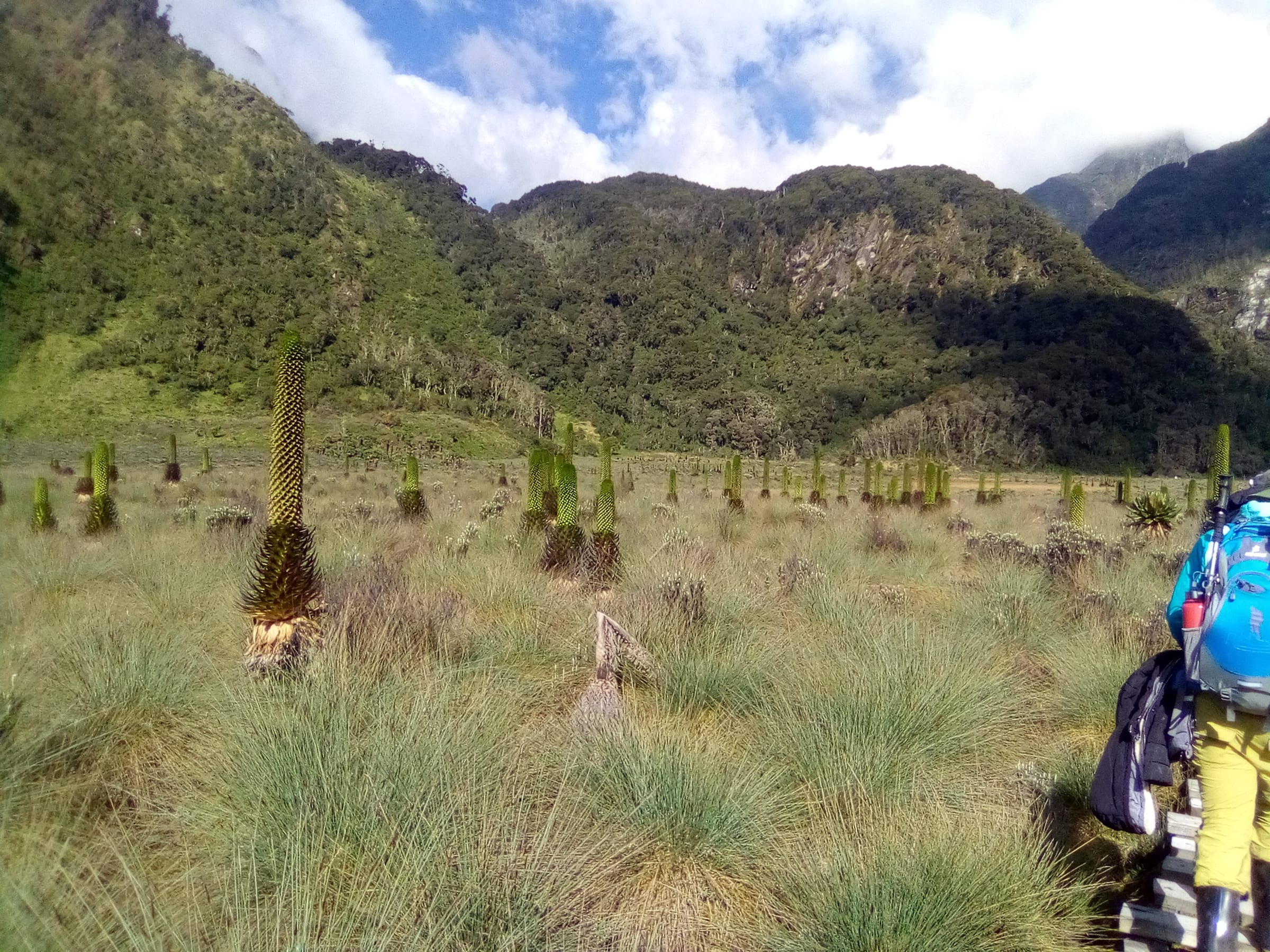 6 Days Bwindi & Queen Elizabeth — guided tour with 12 Monkeys Tours & Safaris